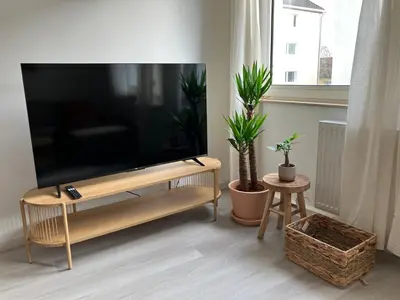 TV/Unterhaltungsangebot in der Unterkunft Rue118