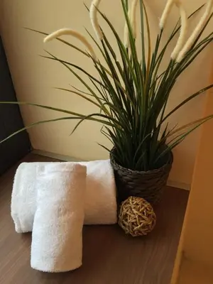 Grundriss der Unterkunft Hotel Hoppe