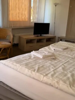 TV/Unterhaltungsangebot in der Unterkunft Hotel Lintforter Hof