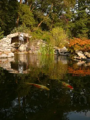 Naturlandschaft in der Nähe der Pension
