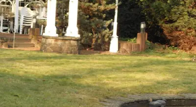 Ein Garten an der Unterkunft Hotel Specht