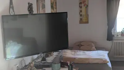 TV/Unterhaltungsangebot in der Unterkunft Ferienwohnung mit Terrasse für 1-4 Personen