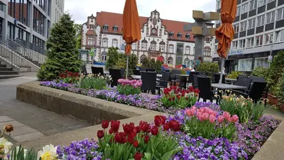 Ein Garten an der Unterkunft Hotel Kölner Hof