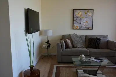 TV/Unterhaltungsangebot in der Unterkunft Luxury apartment in Düsseldorf near trade fair