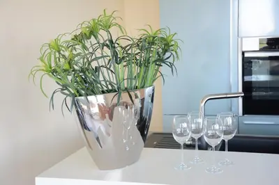 Getränke in der Unterkunft Luxury apartment in Düsseldorf near trade fair