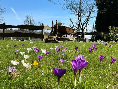 Ein Garten an der Unterkunft Am Grünenplatz 63