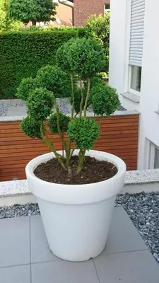 Ein Garten an der Unterkunft Haardblick
