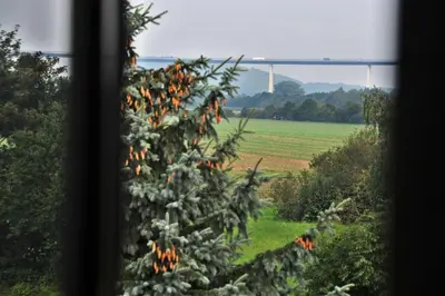 Naturlandschaft in der Nähe der Pension