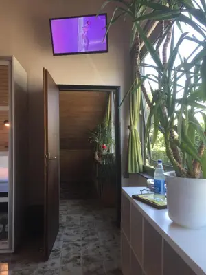 TV/Unterhaltungsangebot in der Unterkunft Düsseldorfer Privatzimmer
