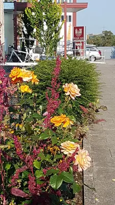 Ein Garten an der Unterkunft Ruhr Inn Hotel