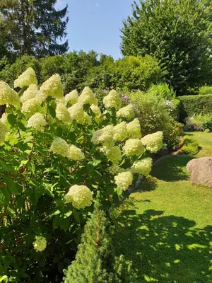 Ein Garten an der Unterkunft Ferienwohnung Bärbel