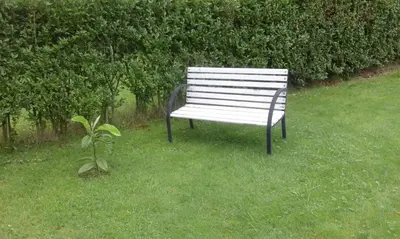 Ein Garten an der Unterkunft Ferienappartement Ruhrtal Witten