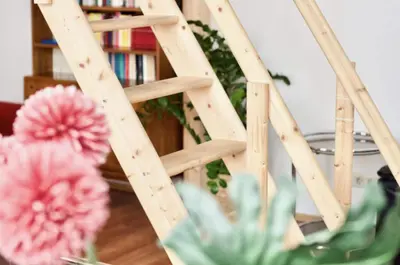 Die Bibliothek in der Ferienwohnung