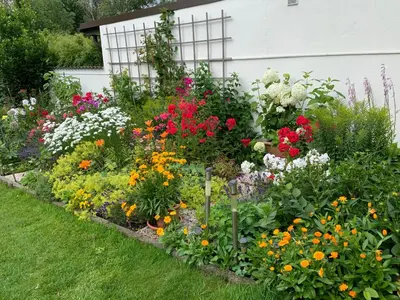 Ein Garten an der Unterkunft Pension Löw
