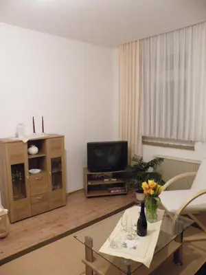 TV/Unterhaltungsangebot in der Unterkunft Ferienwohnung Wieneke