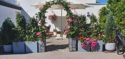 Ein Garten an der Unterkunft Gasthof Einhaus