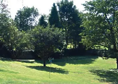 Ein Garten an der Unterkunft Hotel Villa Falkenberg