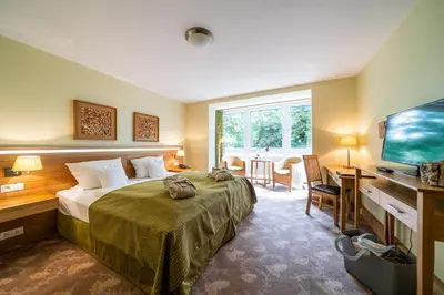 TV/Unterhaltungsangebot in der Unterkunft Waldhotel Tannenhäuschen