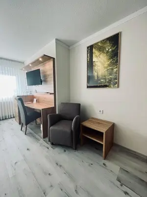 TV/Unterhaltungsangebot in der Unterkunft Hotel-Restaurant Zum Schwanen