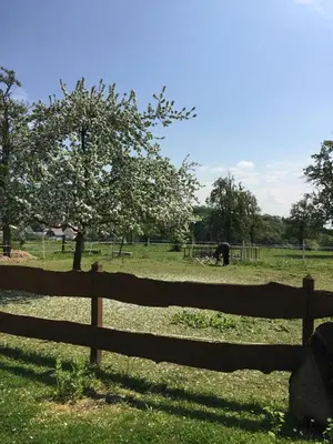 Naturlandschaft in der Nähe der Ferienwohnung