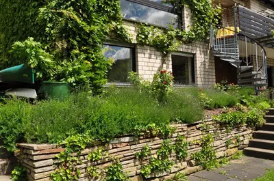 Ein Garten an der Unterkunft Ferienwohnung Raiser