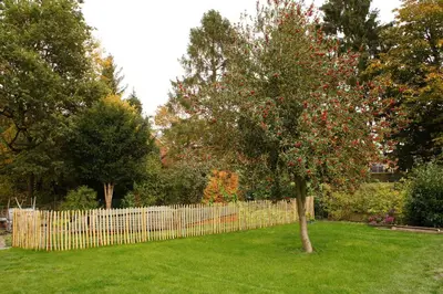 Ein Garten an der Unterkunft Bisping33