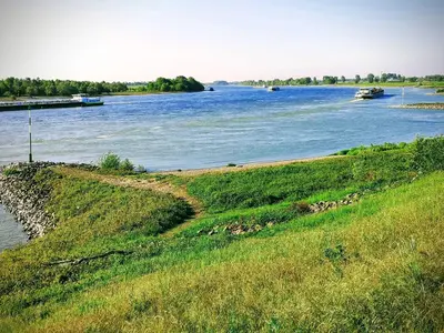 Naturlandschaft in der Nähe des Bed & Breakfasts