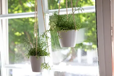 Ein Garten an der Unterkunft Haus am Stadttor