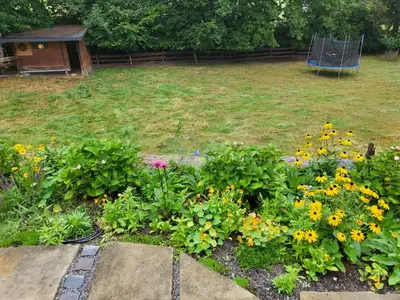 Ein Garten an der Unterkunft Souterrainwohnung im Grünen