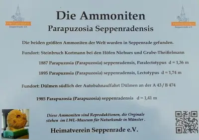Grundriss der Unterkunft Ferienwohnung und -Zimmer Becks