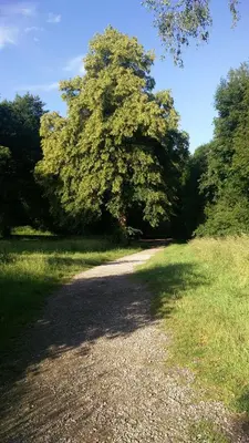 Naturlandschaft in der Nähe der Ferienwohnung