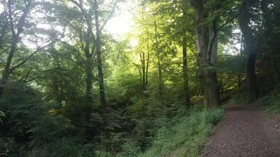 Naturlandschaft in der Nähe der Ferienwohnung