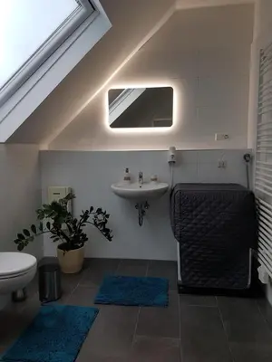 TV/Unterhaltungsangebot in der Unterkunft Appartment Rheinaue