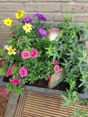 Ein Garten an der Unterkunft Alex