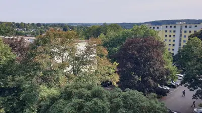 Naturlandschaft in der Nähe der Ferienwohnung