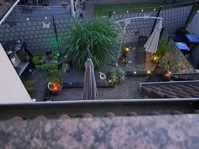 Ein Garten an der Unterkunft Ferienwohnung Talblume