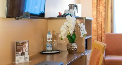 TV/Unterhaltungsangebot in der Unterkunft Sure Hotel by Best Western Hilden-Düsseldorf