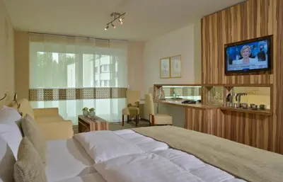 TV/Unterhaltungsangebot in der Unterkunft Parkhotel Oberhausen