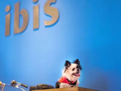 Haustiere von Gästen der Unterkunft ibis Hotel Düsseldorf Hauptbahnhof