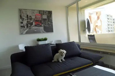 Ein Sitzbereich in der Unterkunft Modernes Apartment Duisburg