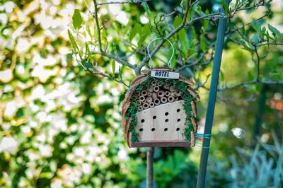 Grundriss der Unterkunft cruwzo I Apartment with garden Elberfeld