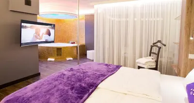 TV/Unterhaltungsangebot in der Unterkunft PLAZA INN stays design Dortmund