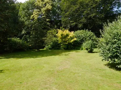 Ein Garten an der Unterkunft FeWo BlumenPott