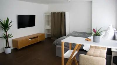 TV/Unterhaltungsangebot in der Unterkunft unique flat