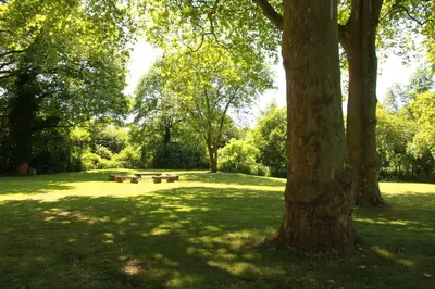 Ein Garten an der Unterkunft Gästehaus Alte Schule