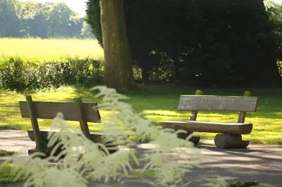 Ein Garten an der Unterkunft Gästehaus Alte Schule
