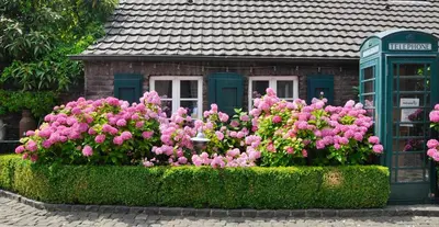 Ein Garten an der Unterkunft Wellings Romantik Hotel zur Linde