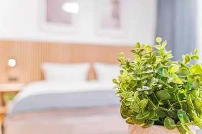 Ein Bett oder Betten in einem Zimmer der Unterkunft Hotel Solinger Hof