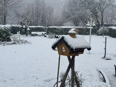 Studio mit Blick ins Grüne im Winter