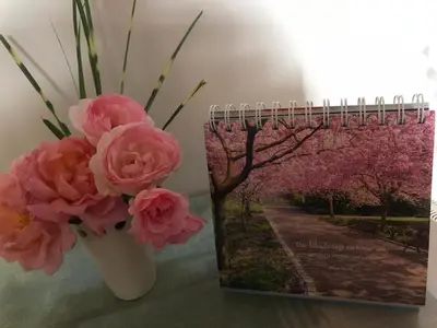 Ein Garten an der Unterkunft Hotel Kranefoer